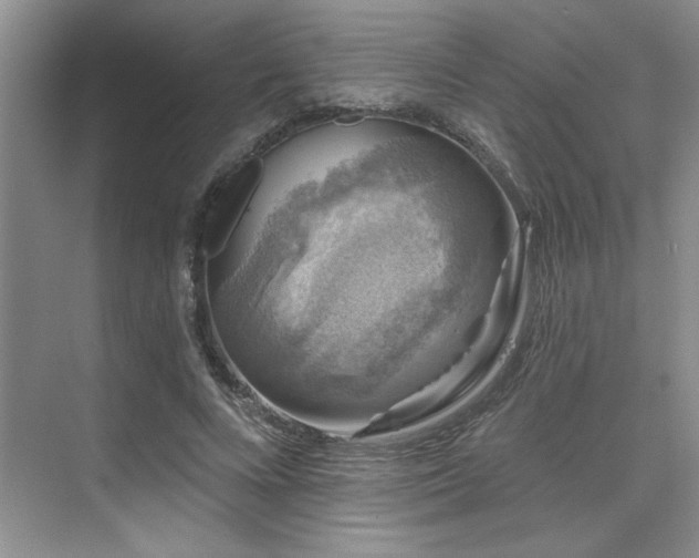 X0000076080688200609221223