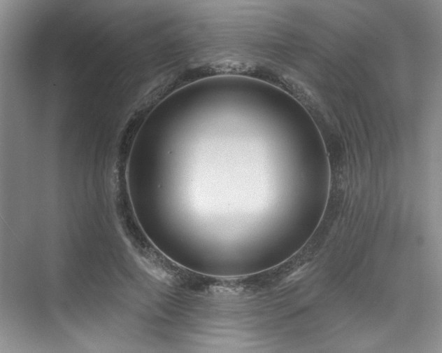 X0000076080690200609221223