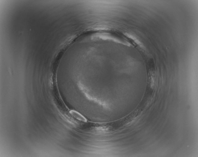 X0000076080692200609221223