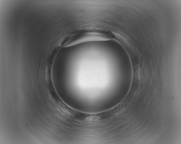X0000076080700200609221223