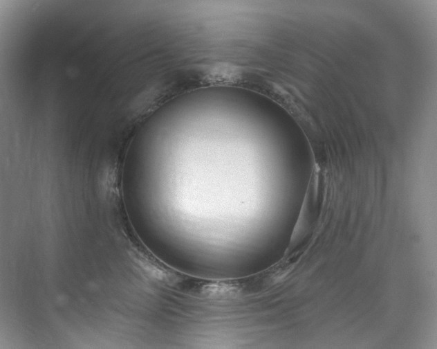 X0000076080714200609221223