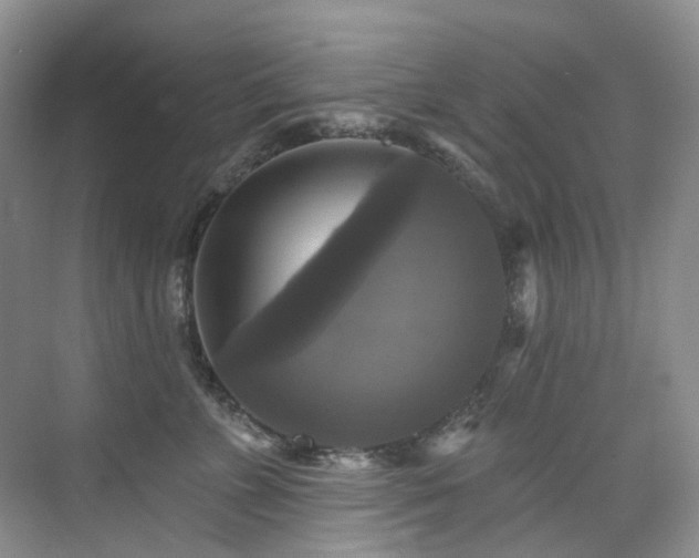 X0000076080715200609221222
