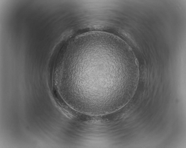 X0000076080738200609221222