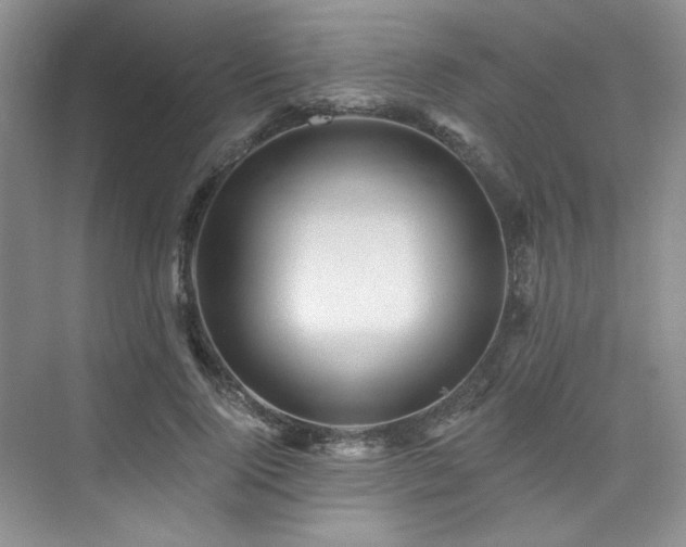X0000076080740200609221222