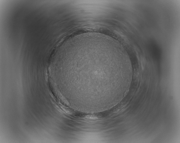 X0000076080749200609221222