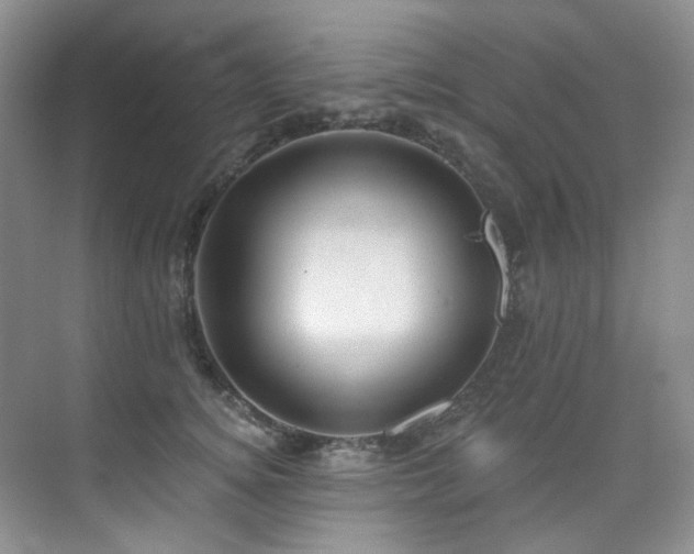 X0000076080756200609221222