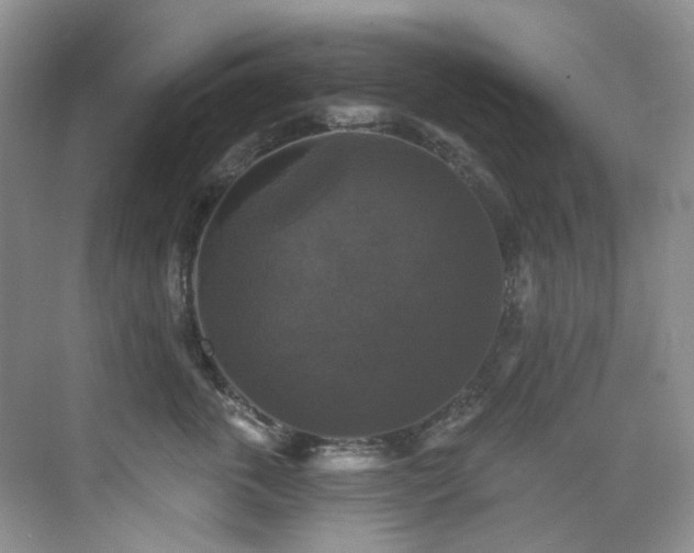 X0000076080763200609221222