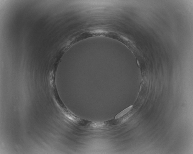 X0000076080767200609221222