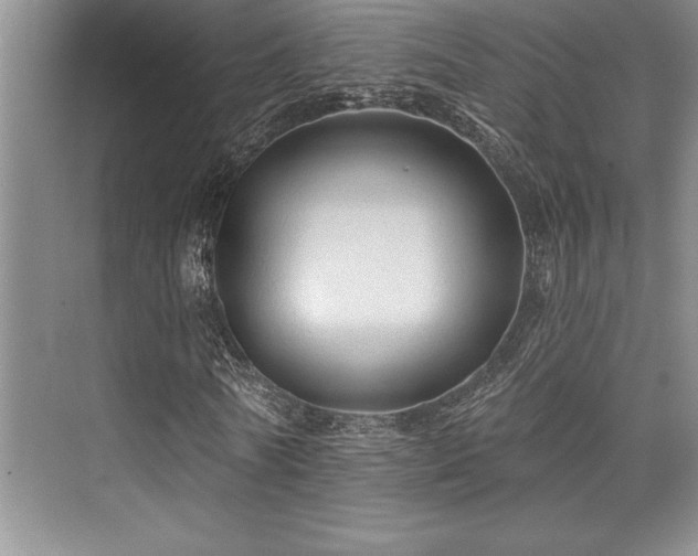 X0000076080770200609221222
