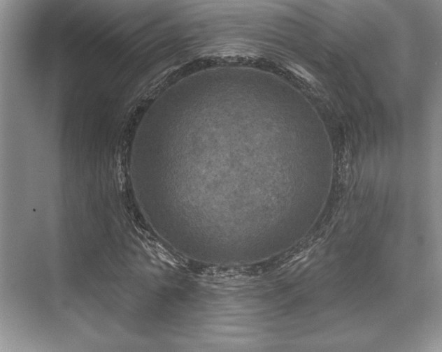 X0000076080774200609221221