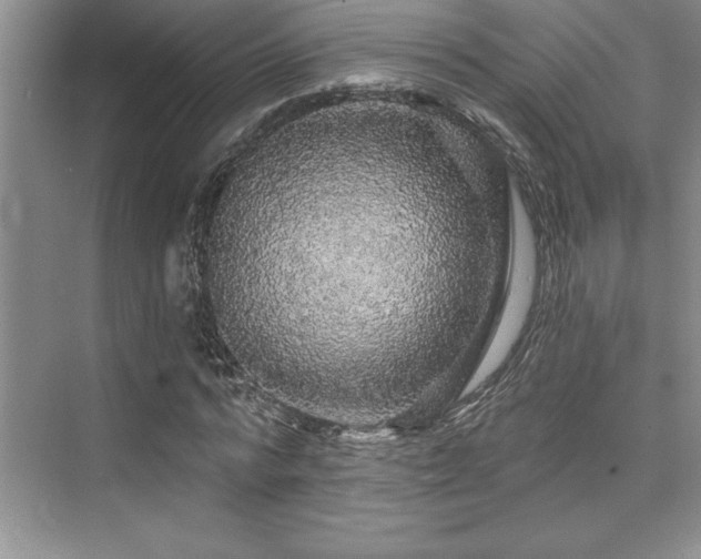X0000076080776200609221221