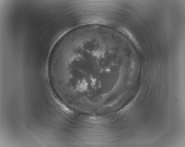 X0000076080780200609221221