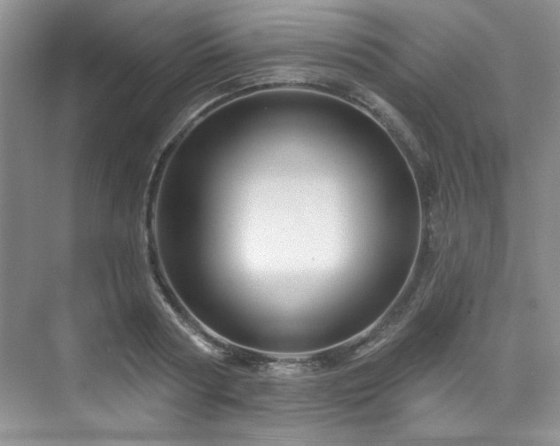 X0000076080794200609221221