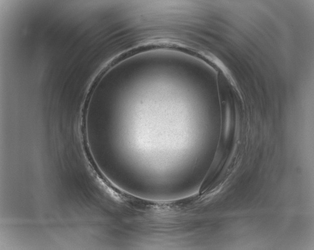 X0000076080799200609221221