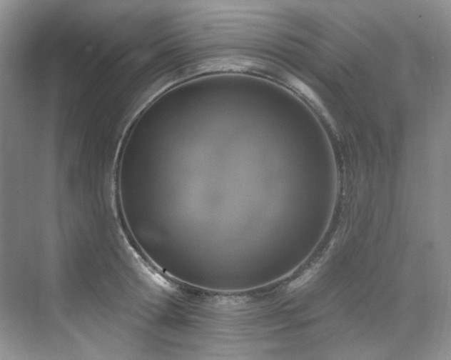 X0000076080802200609221221