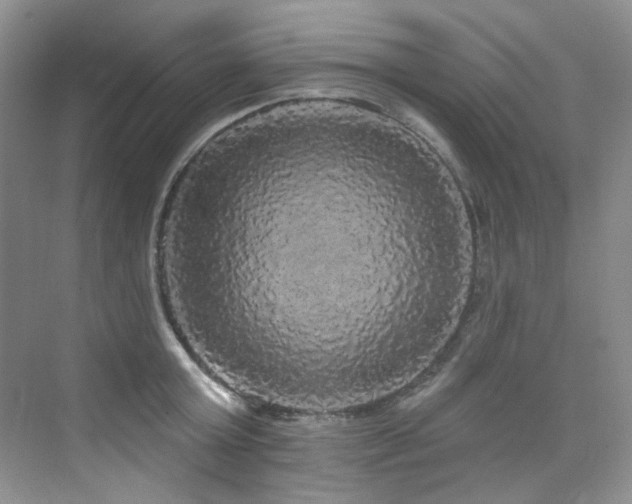 X0000076080803200609221221