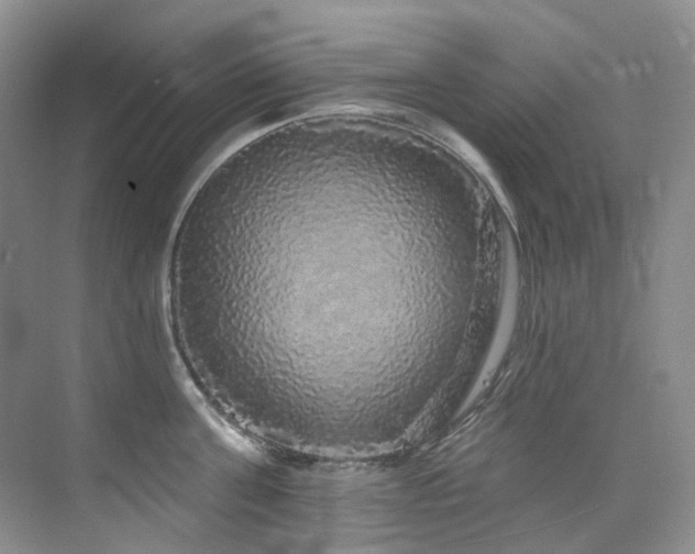 X0000076080811200609221221