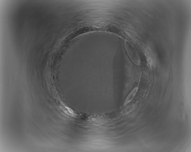 X0000076080817200609221220