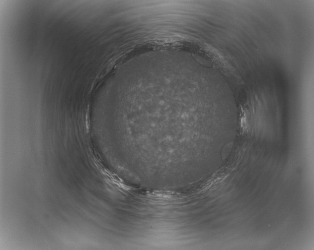 X0000076080819200609221220