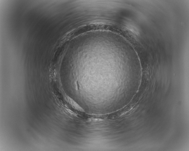 X0000076080821200609221220