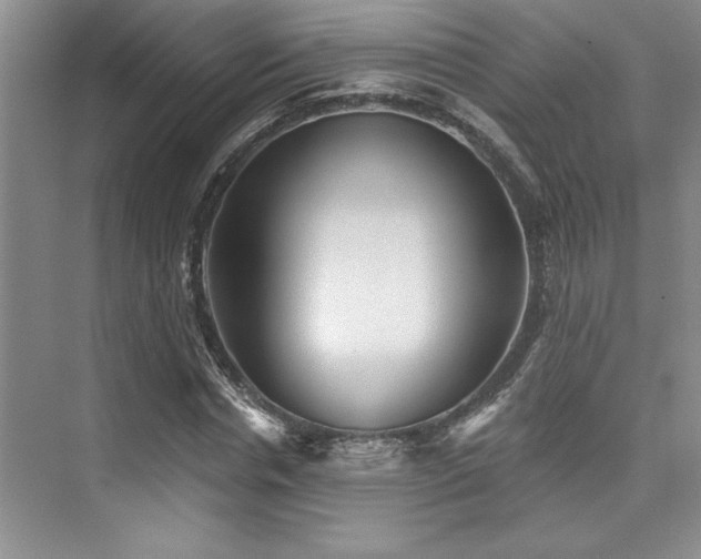 X0000076080826200609221220