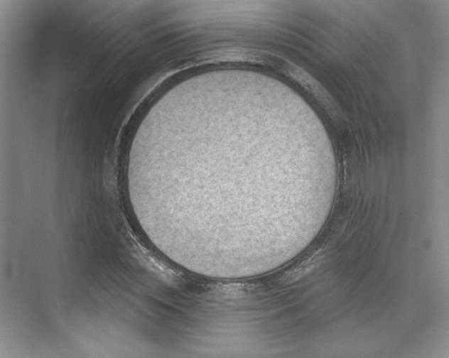 X0000076080828200609221220