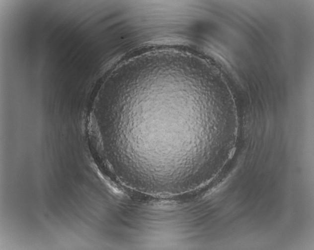 X0000076080833200609221220