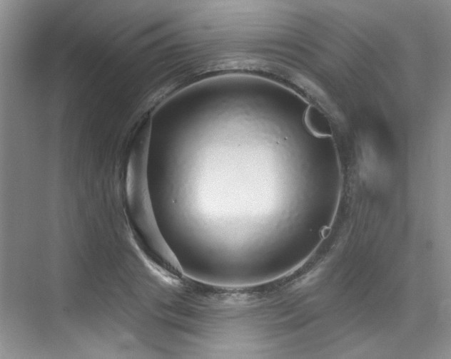 X0000076080841200609221220