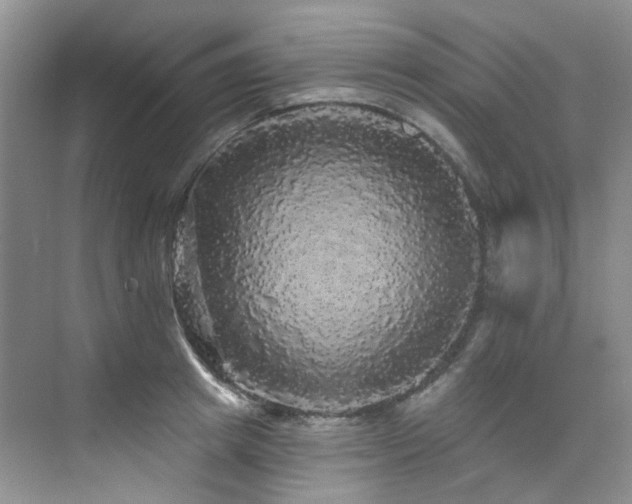 X0000076080849200609221220