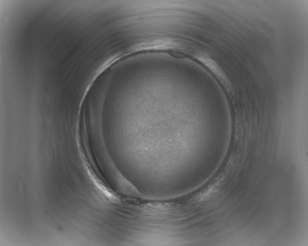 X0000076080850200609221221