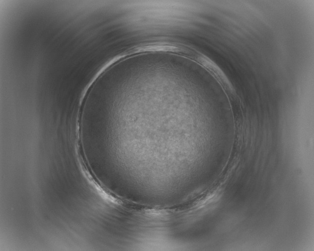 X0000076080852200609221221