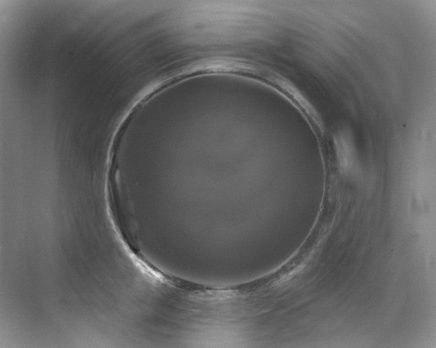X0000076080853200609221221