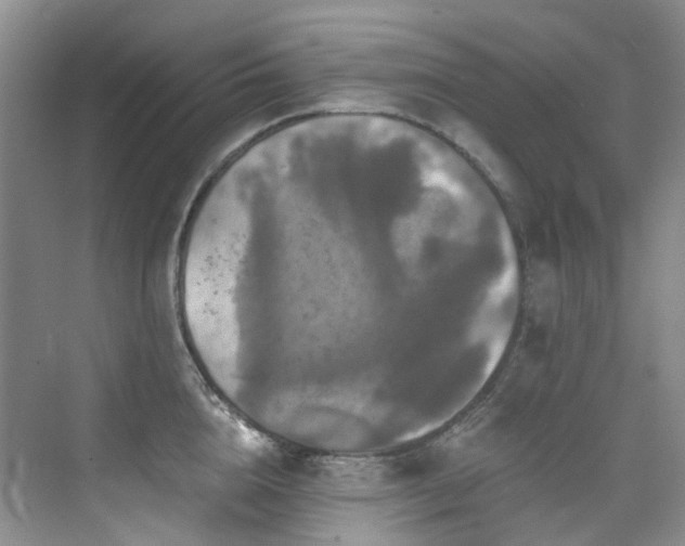 X0000076080856200609221221