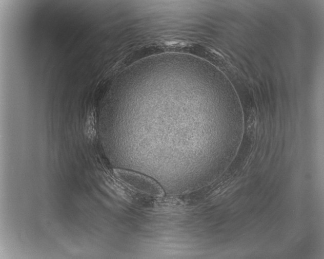 X0000076080866200609221220
