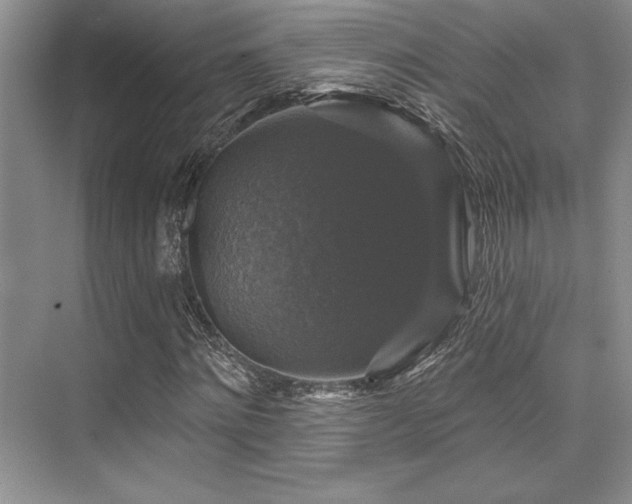 X0000076080868200609221220