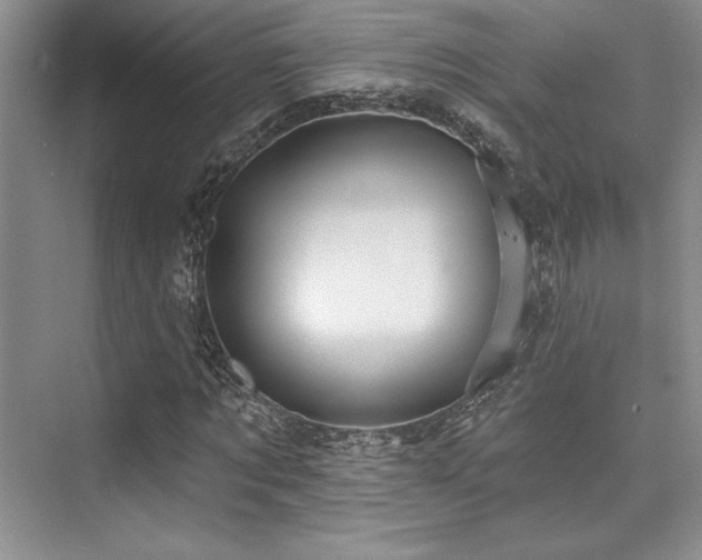X0000076080869200609221220