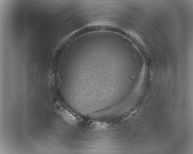 X0000076080872200609221220