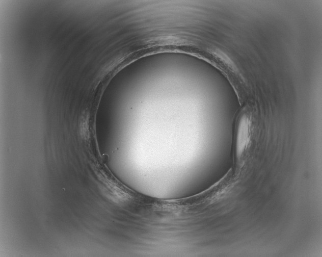X0000076080873200609221220