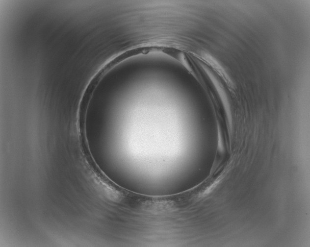 X0000076080884200609221220