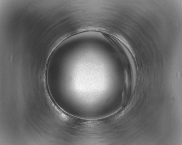 X0000076080906200609221219