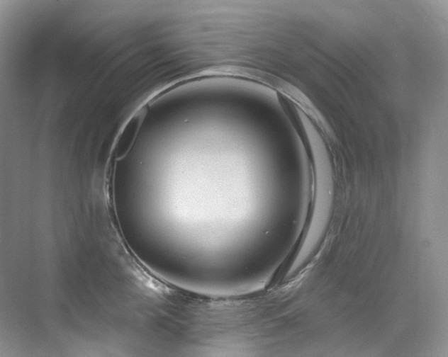 X0000076080908200609221219