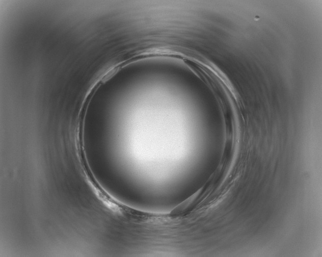 X0000076080909200609221219