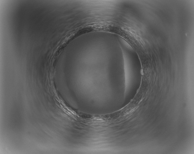 X0000076080913200609221218
