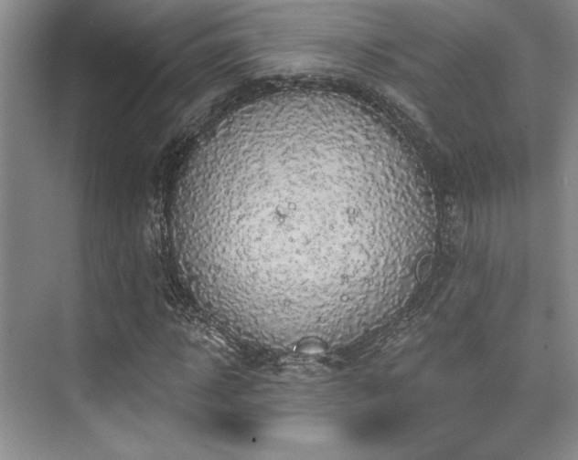 X0000076080918200609221218
