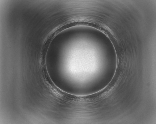X0000076080922200609221218