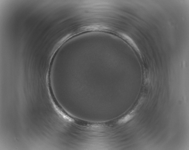 X0000076080946200609221219