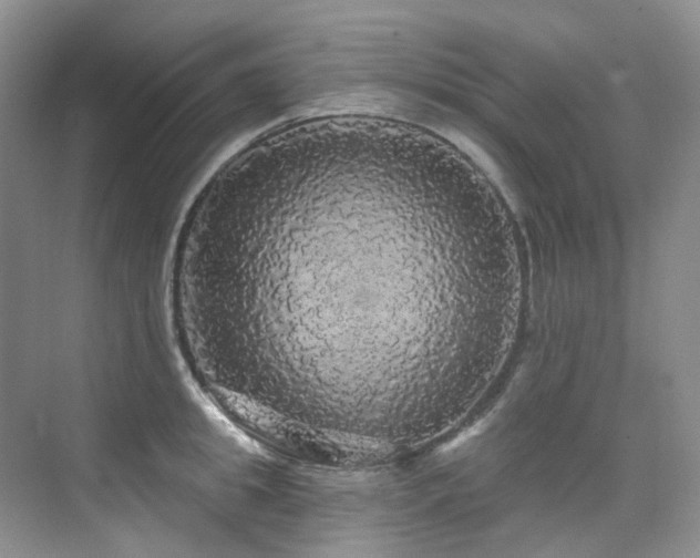 X0000076080949200609221219