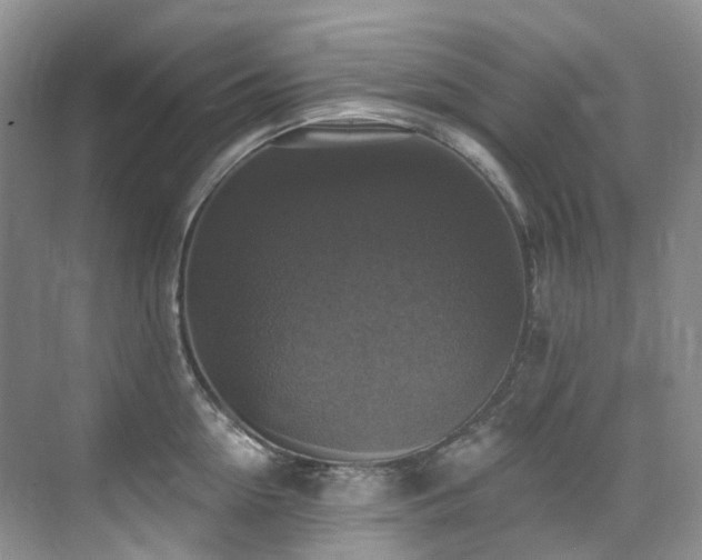 X0000076080954200609221219