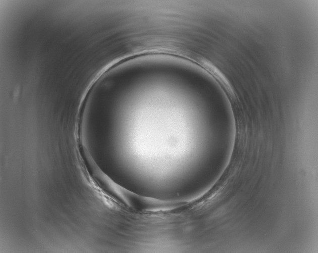 X0000076080956200609221219