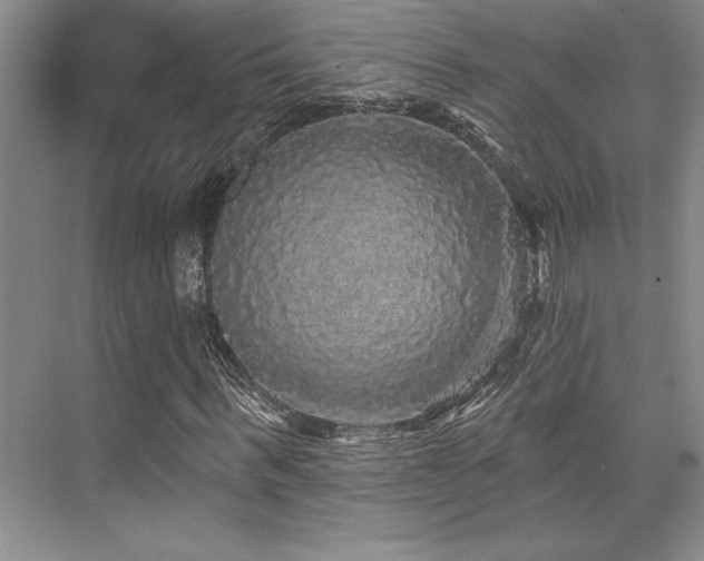 X0000076080963200609221218